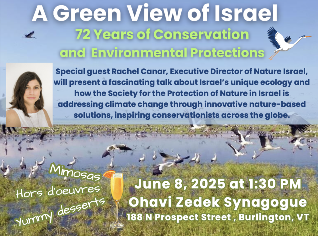 If you're in or near Burlington, Vermont, we look forward to seeing you on June 8!